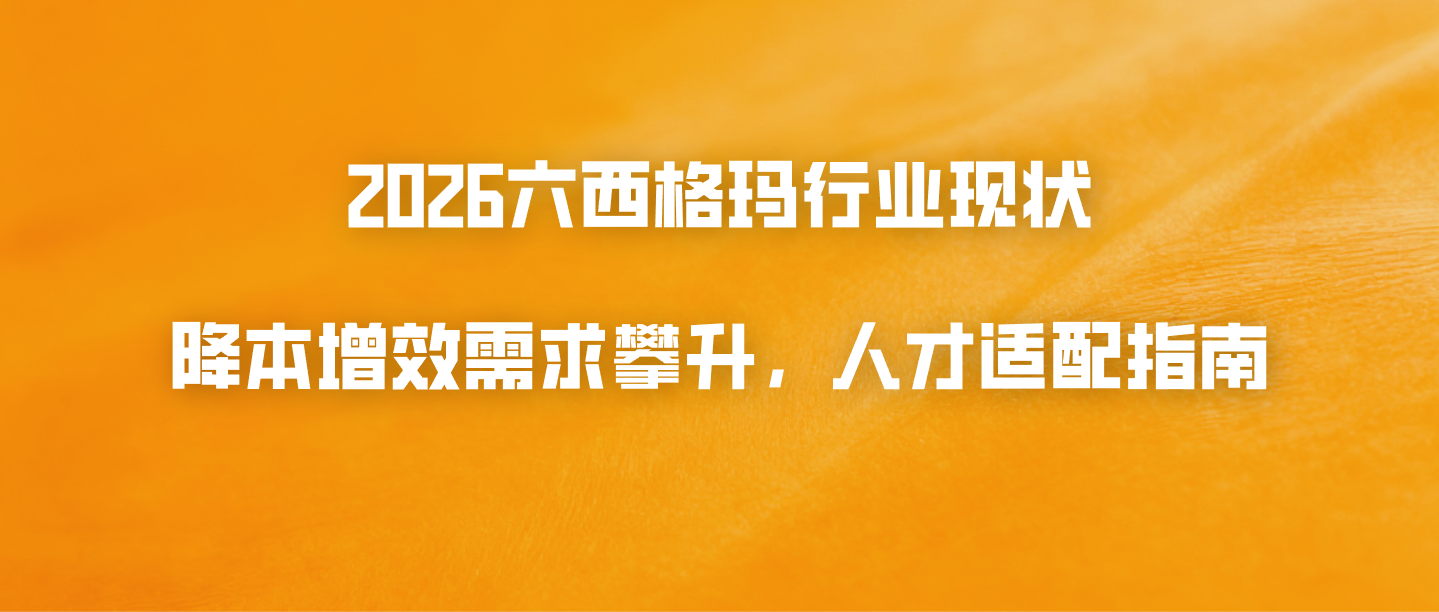 2026六西格玛行业现状：降本增效需求攀升，人才适配指南