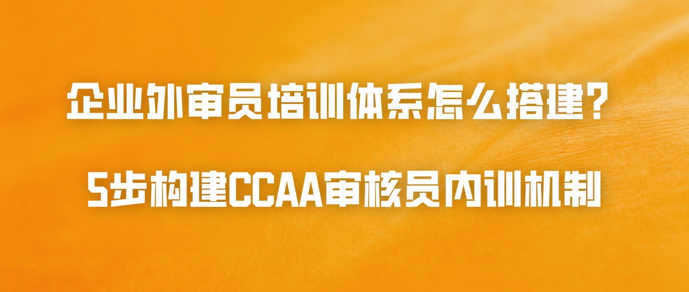 企业外审员培训体系怎么搭建？5步构建CCAA审核员内训机制