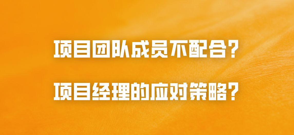 项目团队成员不配合？项目经理的应对策略？