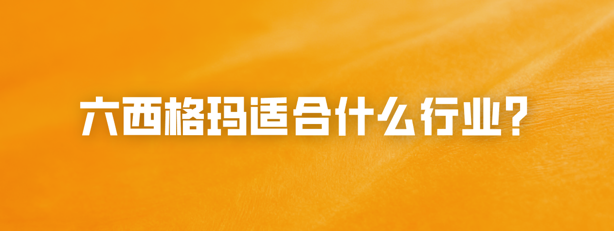 六西格玛适合什么行业？