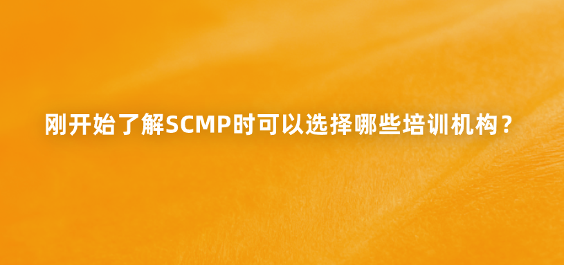 刚开始了解SCMP时可以选择哪些培训机构？