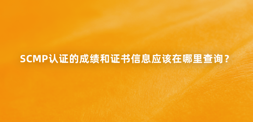 SCMP认证的成绩和证书信息应该在哪里查询？